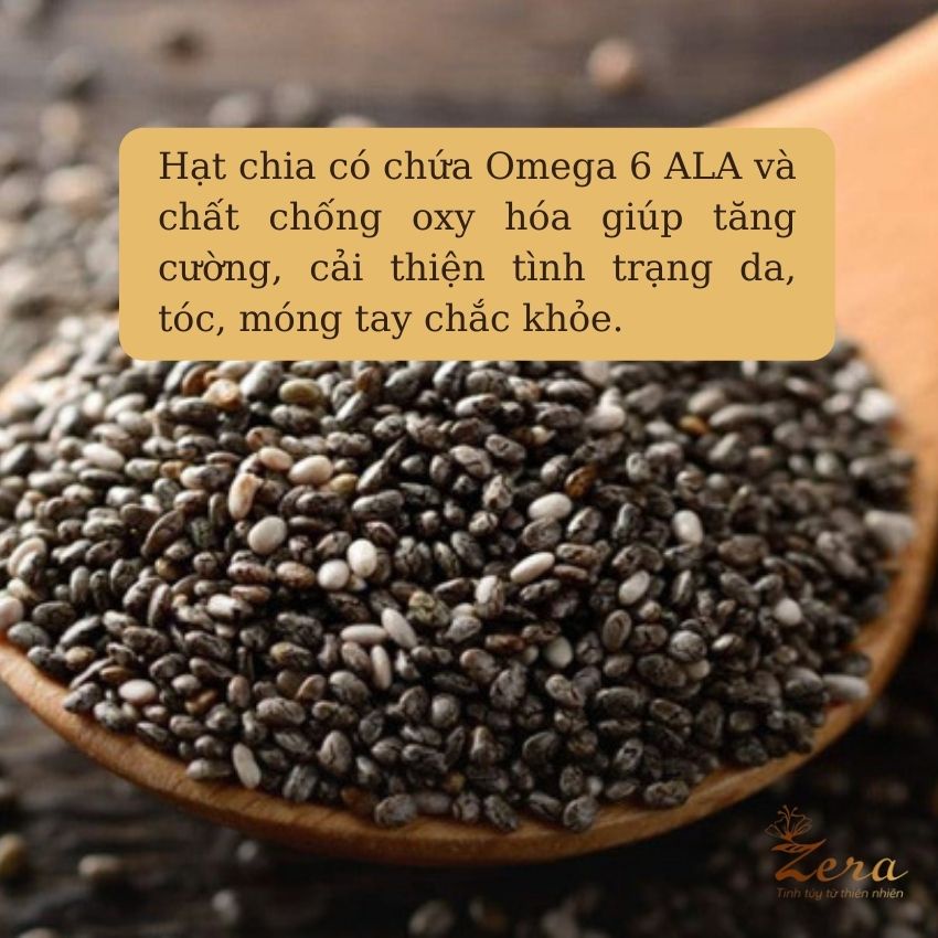 Hạt chia Úc Absolute Organic mới nhất Zera Tốt Cho Sức Khỏe