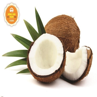Bột Cơm Dừa 100g