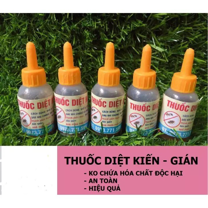 Combo 5 lọ thuốc diệt kiến gián côn trùng sinh học an toàn hiệu quả