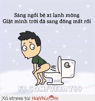 Tấm lót bồn cầu