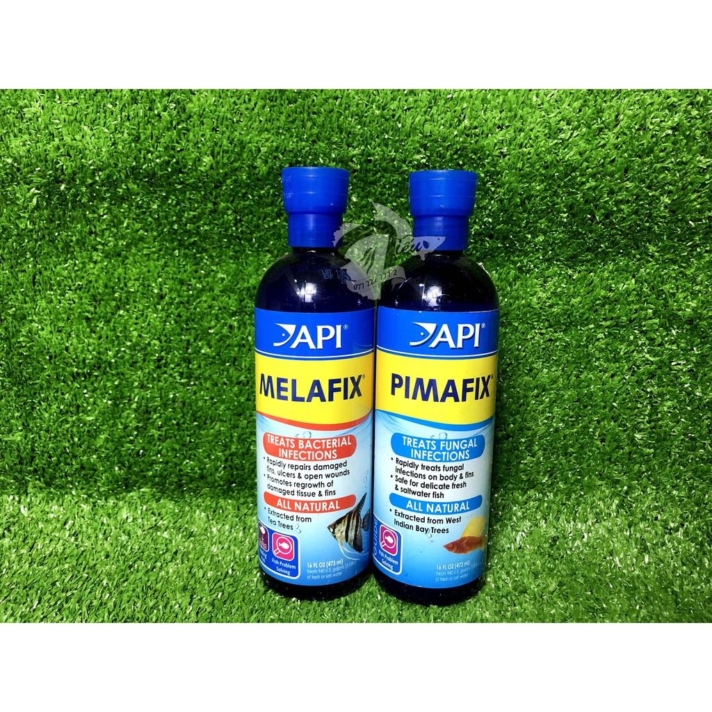 MELAFIX - PIMAFIX - Dung dịch cần thiết cho cá cảnh