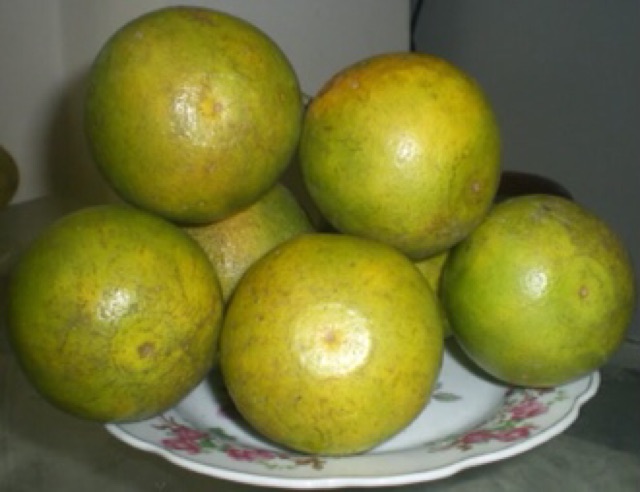 Mứt dừa bánh tẻ 150k/1 kg