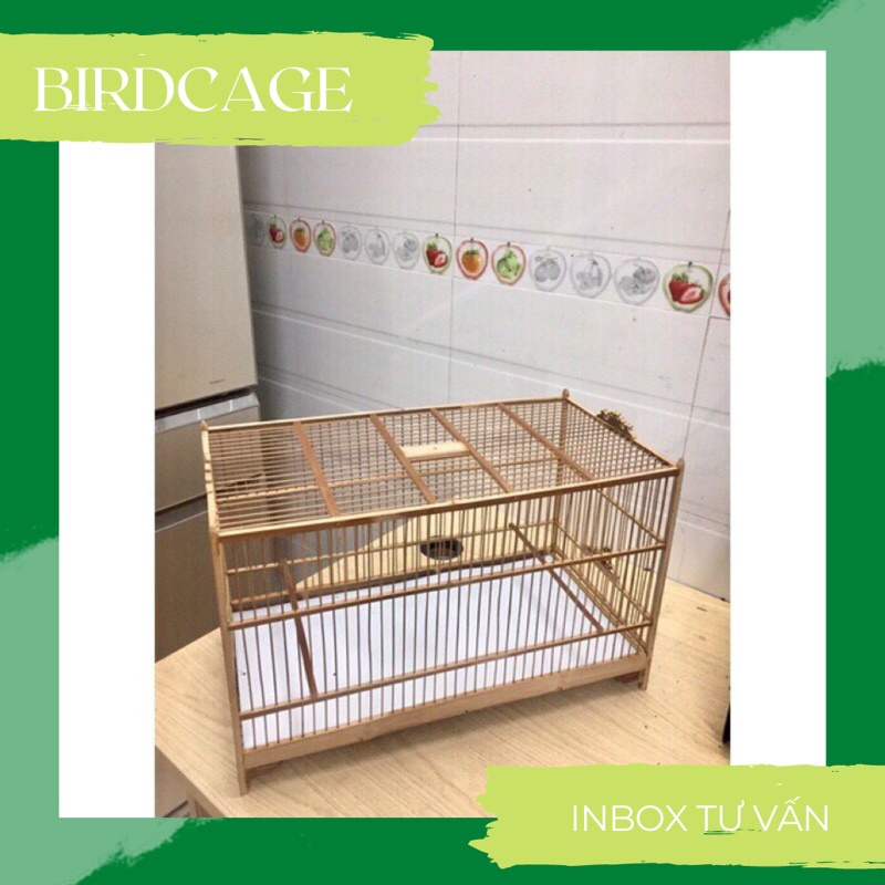 Lồng Tập Lực Khuyên Hàng Đẹp