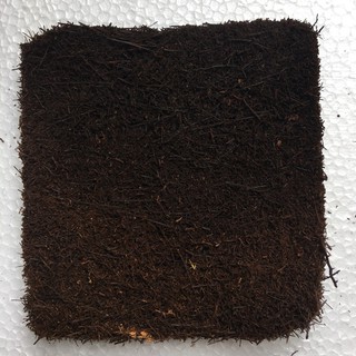 Sale off Dớn bảng trồng lan KT 20x20x3 cm hàng chuẩn cty.