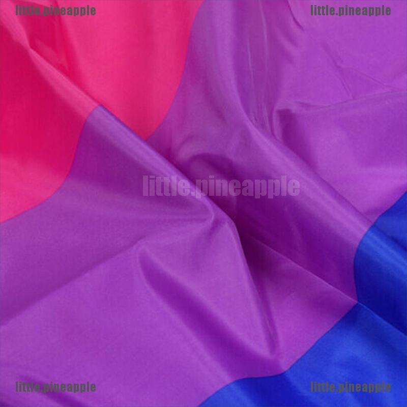 Cờ Lgbt Kích Thước