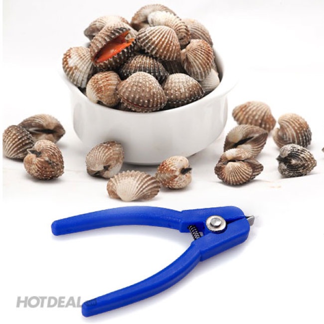 Dụng cụ tách sò huyết nhựa màu xanh