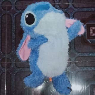 Gấu của chị thảo