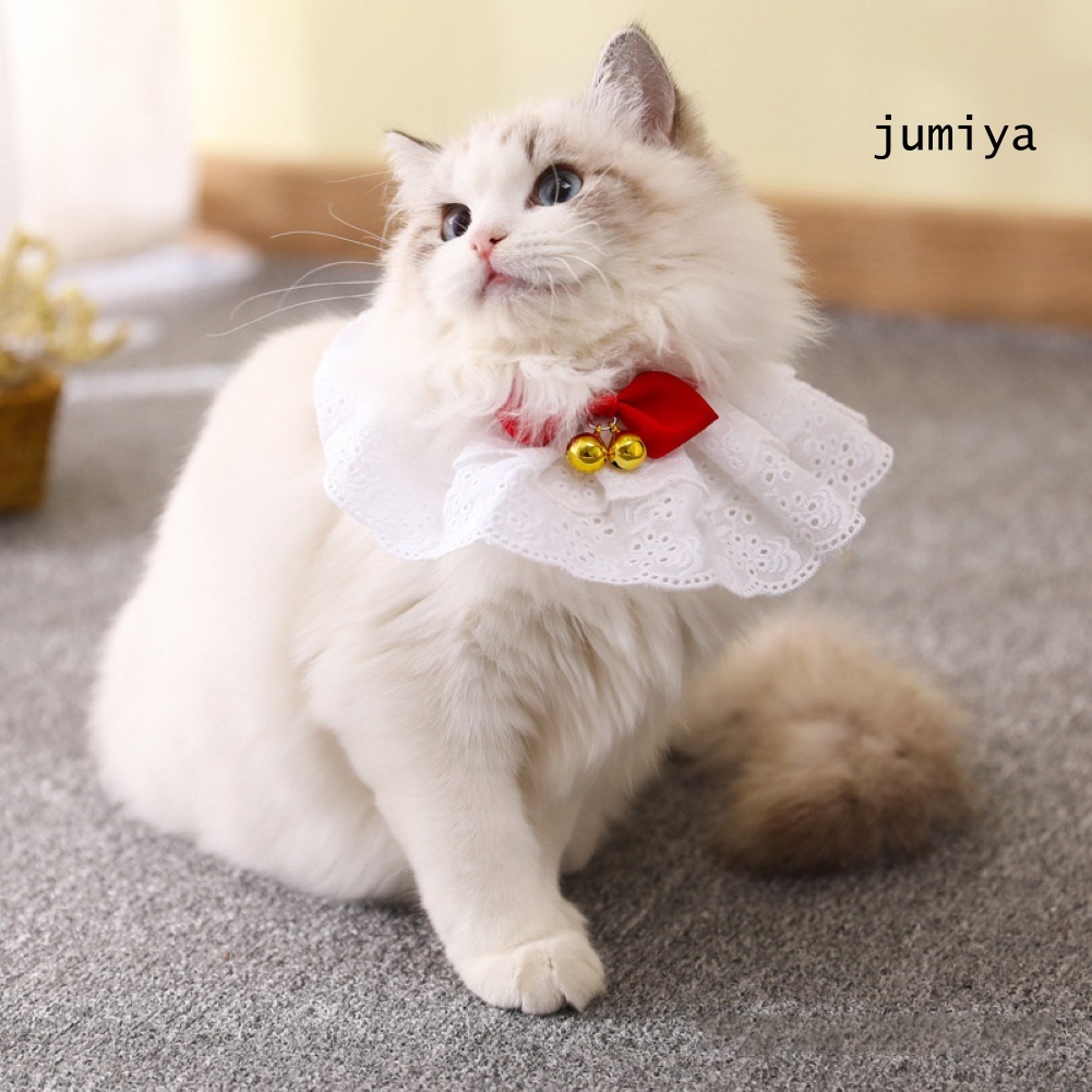 Cổ áo yếm thiết kế dây cột họa tiết bông hoa dành cho mèo