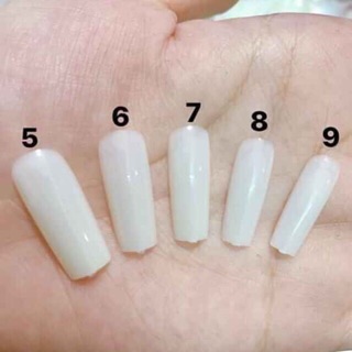 Móng úp HSM lẻ size 5-6-7-8-9