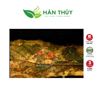 Lá Bàng Khô - Thần Dược Cá Cảnh
