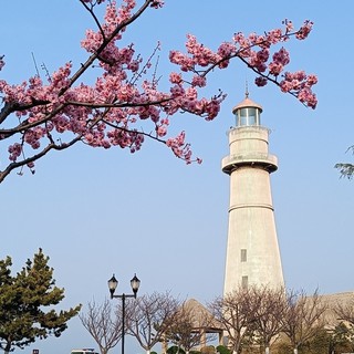 yangrui.vn