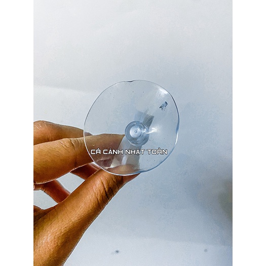 NÚM HÍT ĐÈN VÀO THÀNH BỂ CÁ PHI 30MM