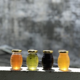 Mật ong Khoái Hobi 100ml [thu mật tại rừng]