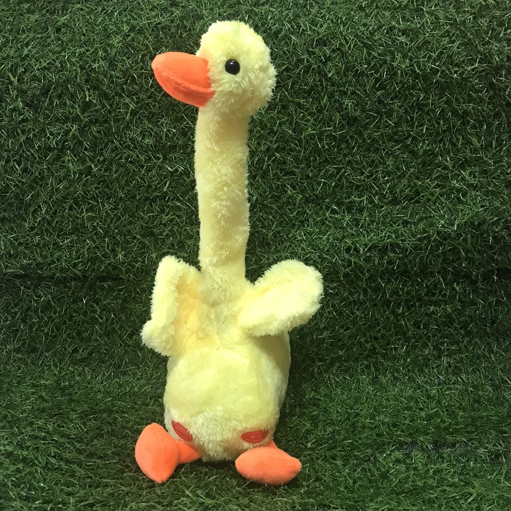 HÀNG LOẠI 1🌺 Cây xương rồng nhảy múa vui nhộn phát 120 bài hát nhạc việt - nhại được giọng nói - hot tiktok