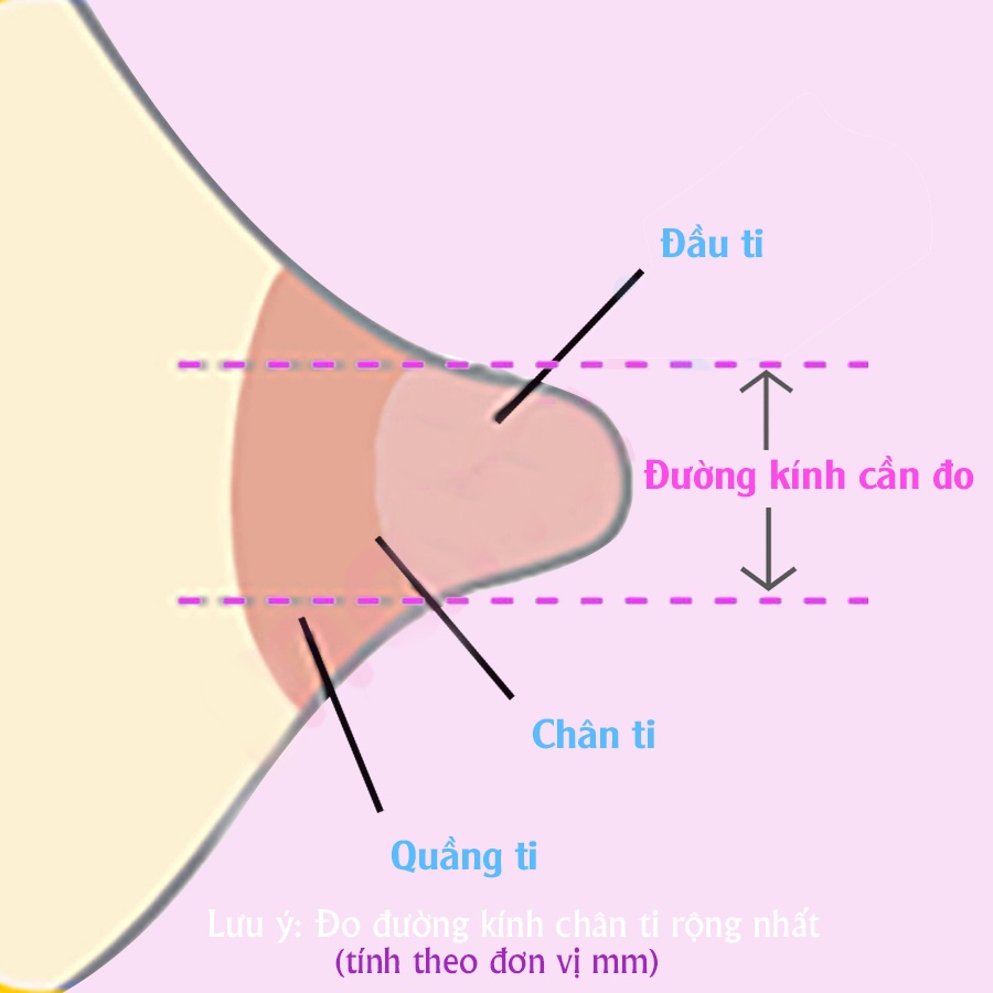 Phễu Hút Sữa Silicon Cho Máy Hút Sữa Gluckbaby