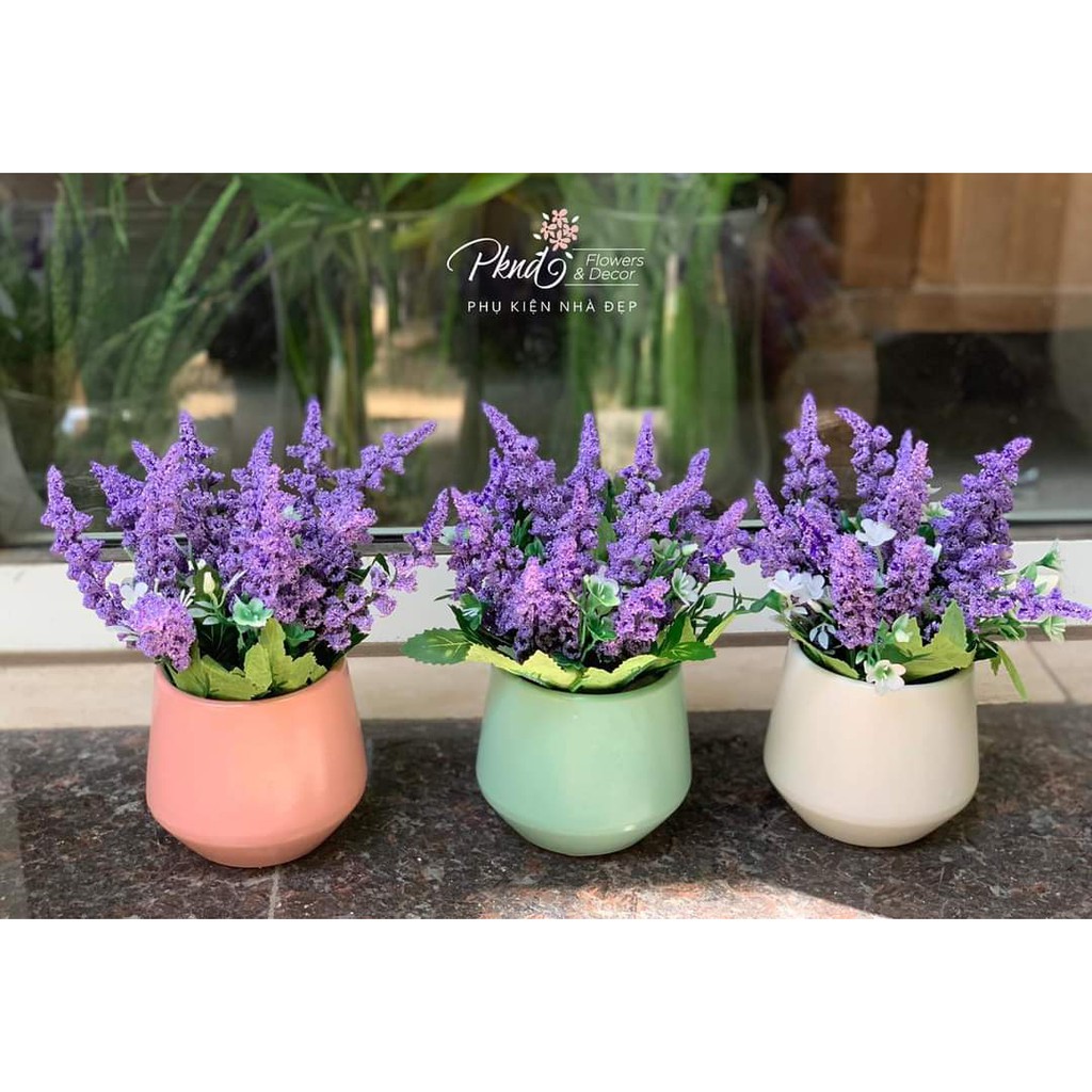 Chậu hoa giả lavender để bàn trang trí đẹp PKND CH15 (inbox chọn màu chậu)
