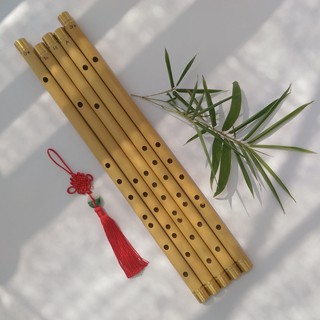 Sáo fa trầm, F4