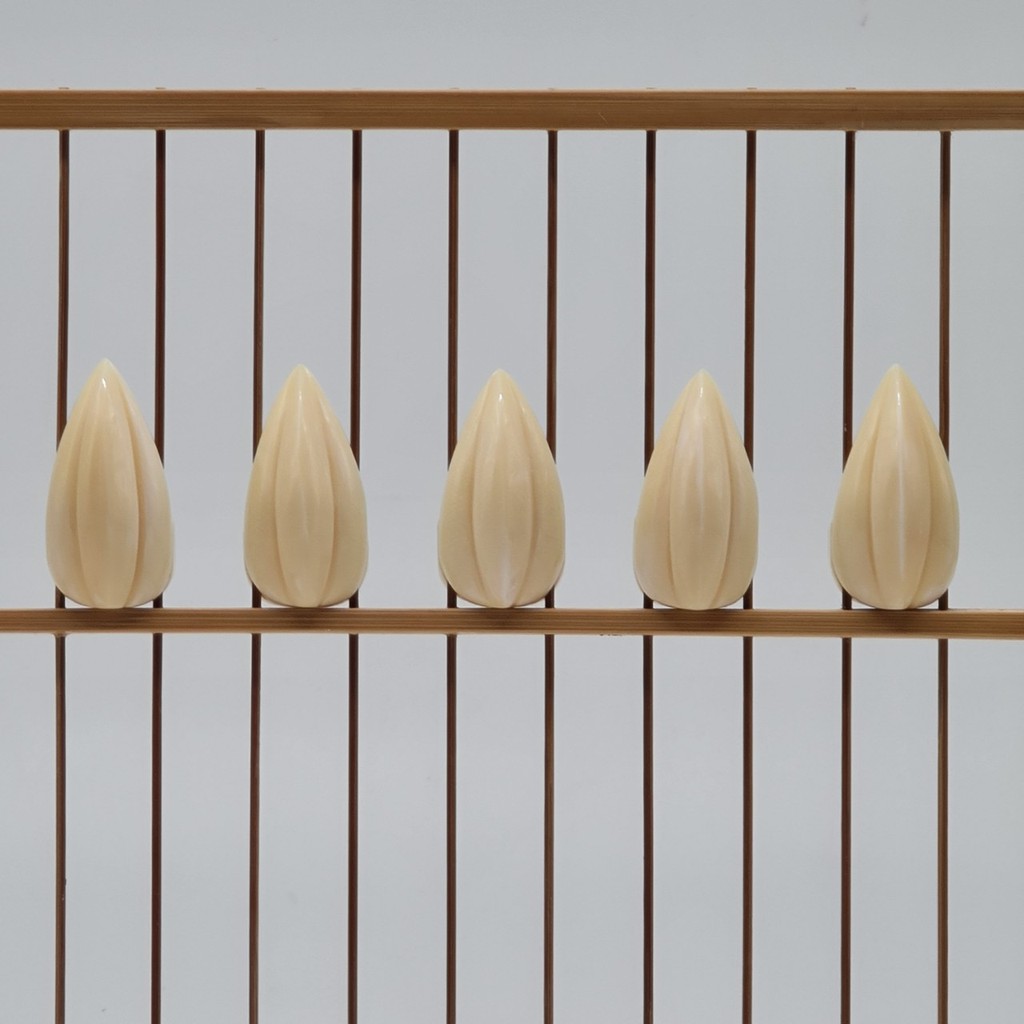 Phụ kiện chim - Star fruit - R008