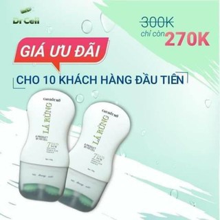 tan mở cao lá rừng