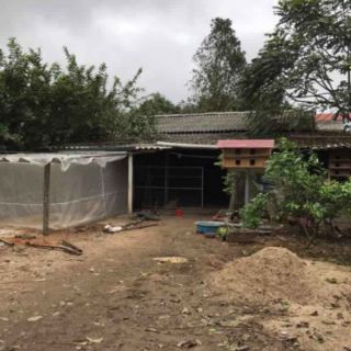 Lồng nuôi cào cào 3x2x2