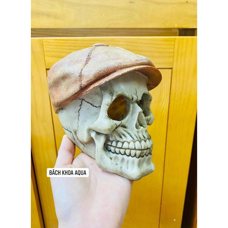 ĐẦU LÂU PHƯỢT - ĐỘI MŨ HẠ TRANG TRÍ HỒ THỦY SINH