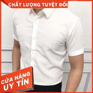 Sơ mi nam ngắn tay trắng công sở cao cấp - Sơ mi cộc tay nam đẹp Hàn Quốc - Chất vải lụa dày đẹp, mặc mát, mềm mịn