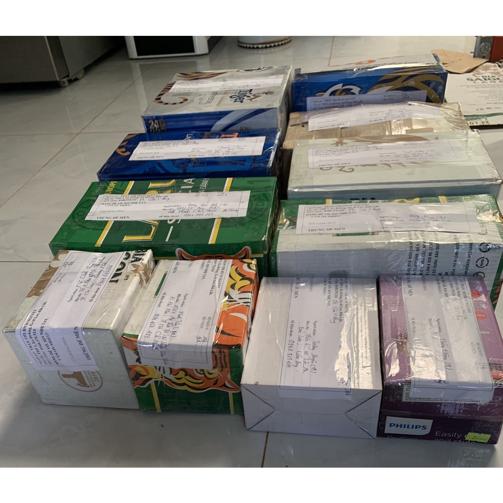 Trứng dế mèn thái vàng