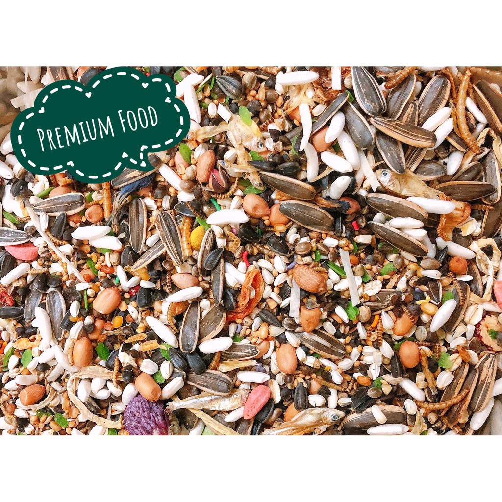 Thức ăn trộn cao cấp cho hamster Premium Food