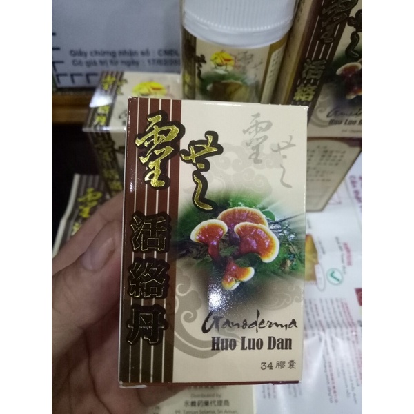 Linh Chi hoạt lạc đơn Malaysia