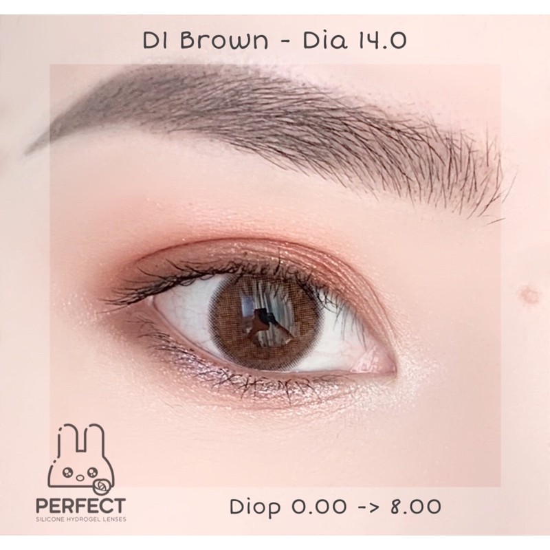 LINK 2 (GIÁ 1 CHIẾC) 14.0 (0.00->8.00) Lens D1 Brown - Kính Áp Tròng