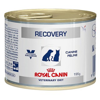 Pate Royal Canin Recovery Dành Cho Chó Mọi Lứa Tuổi Hộp Tiện Dụng