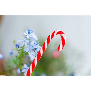 Kẹo gậy giáng sinh