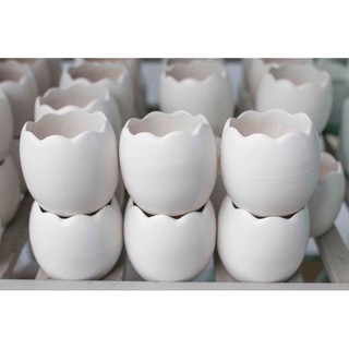 Chậu trứng 8x8cm