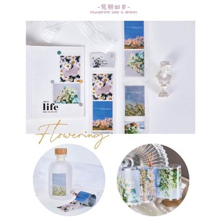 Dây sticker PET theo chủ đề