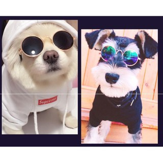 Kính mát mini cho Pet