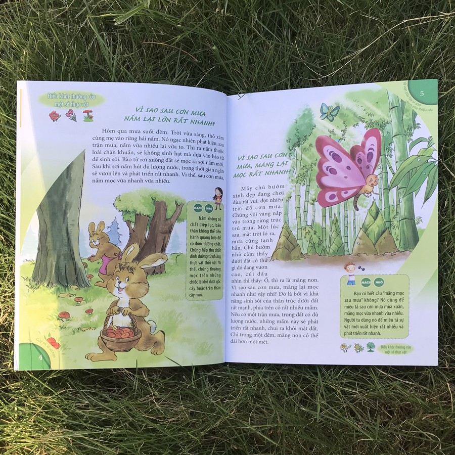 [Mã LIFE5510K giảm 10K đơn 20K] Sách - 10 Vạn câu hỏi vì sao - Cây cỏ, lá và hoa | BigBuy360 - bigbuy360.vn