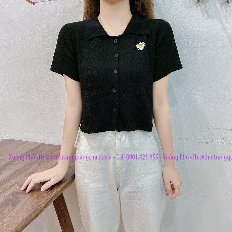 [Hàng Nhập]  Áo Thun Dệt Kim Cổ Polo Hoa Cúc QC 106