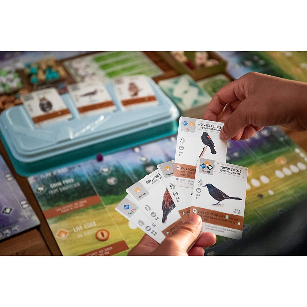 Bộ Board Game Wingspan A Bird-Collection
