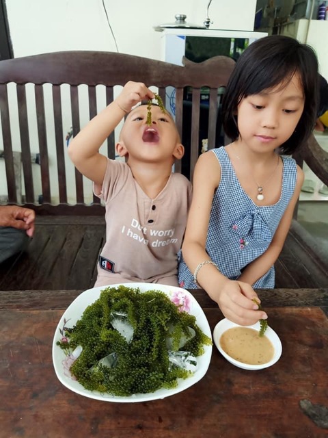 1kg rong  kèm chai sốt mè 180ml