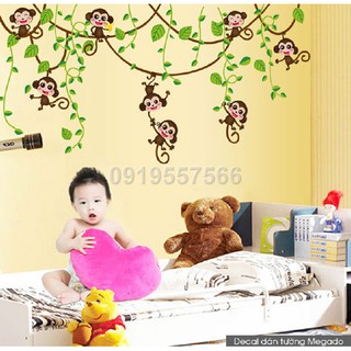 decal giàn leo khỉ