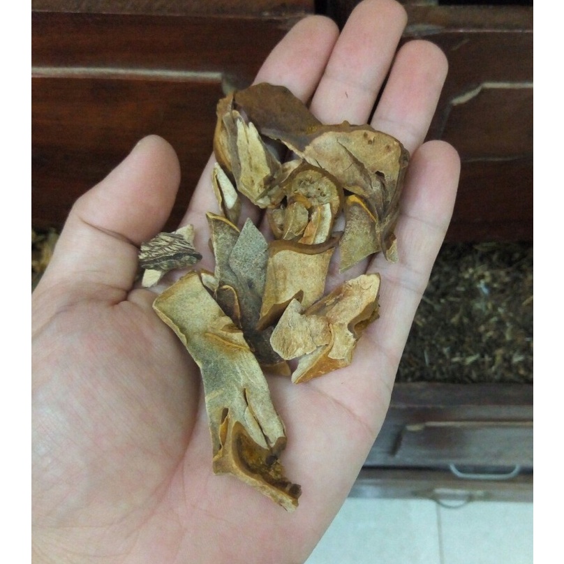 Cẩu tích khô  - Cam kết hàng chuẩn xịn