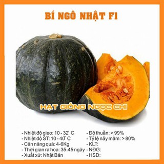 Hạt Giống Bí Ngô Nhật Vỏ Đen Xanh - 10H