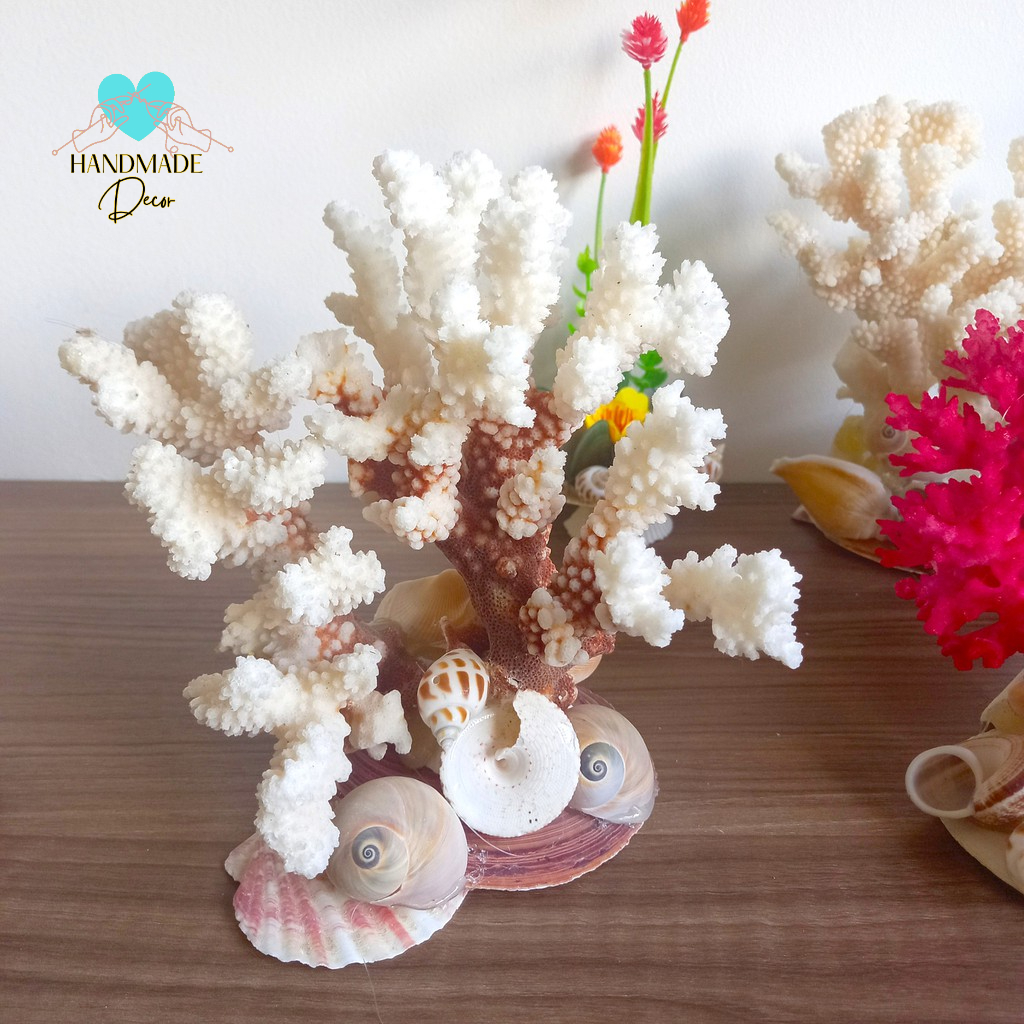 San hô chụp ảnh trang trí bàn trà, tủ trà, bể cá