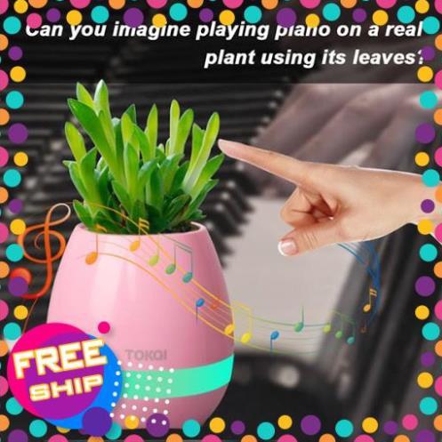 LOA NGHE NHẠC BLUETOOTH KIÊM CHẬU TRỒNG CÂY - CHƠI NHẠC PIANO [HH3G COMPANY]