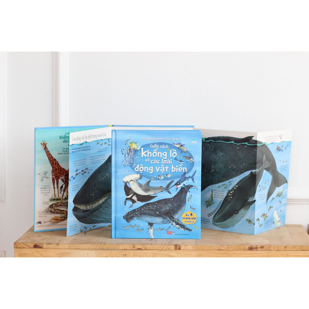 Sách tương tác - Big Book - Cuốn sách khổng lồ về các loài động vật biển