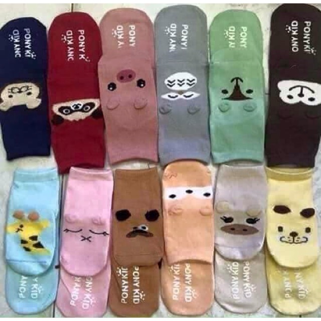 12 đôi tất pony kid