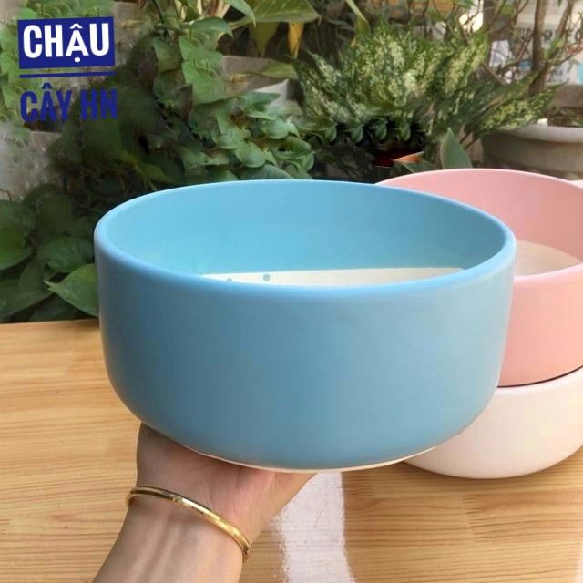 TẶNG KÈM( 200G ĐẤT TRỘN CAO CẤP) Chậu Sứ Trồng Cây Cảnh Mini, Sen đá, Xương rồng, Tiểu Cảnh Terrarium Hình Trụ Thấp