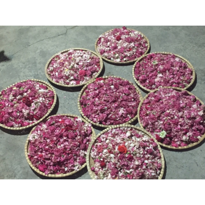 Toner hoa hồng hữu cơ - hydrosol hoa hồng - ảnh sản phẩm 5