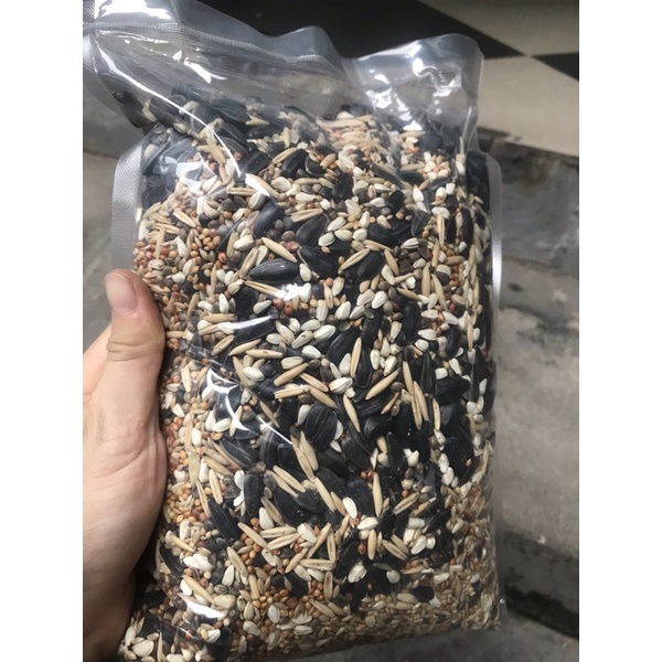 1kg - Hạt mix cho vẹt Macaw, Vẹt mào Cockatoo, Moluccan Cockatoo, Cacatua galerita, Xám, Sun, Ngực hồng...gói 1kg