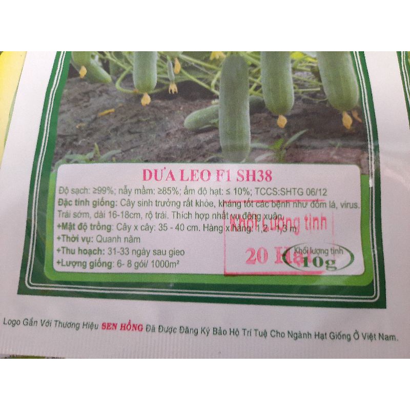 Dưa leo Sen Hồng gói 20 hạt